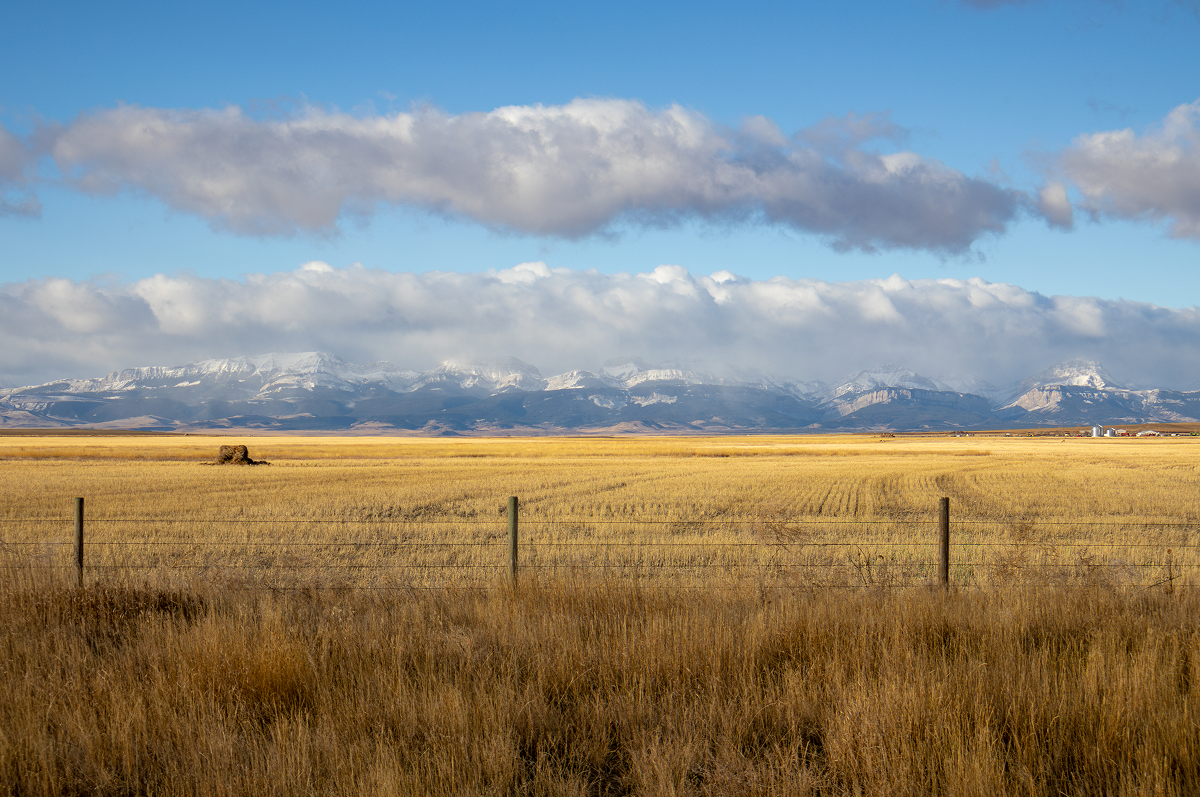 Montana Landscape